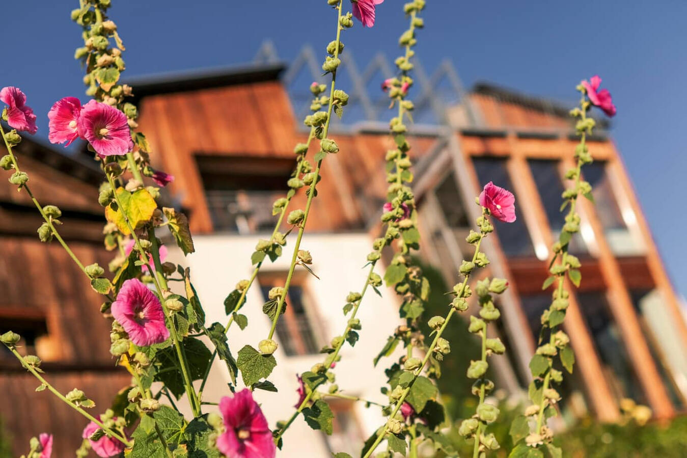 FlowFarm Mairhof, Gschneir 16, Schluderns, der Hof