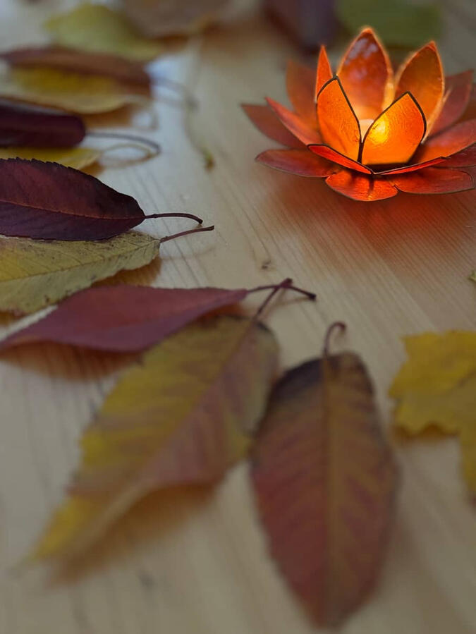 Herbstblätter
