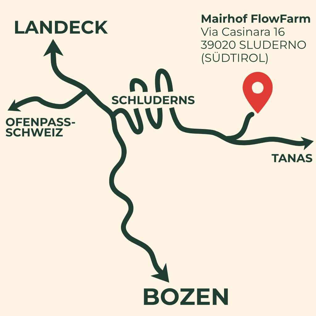 Anreise mit Google Maps